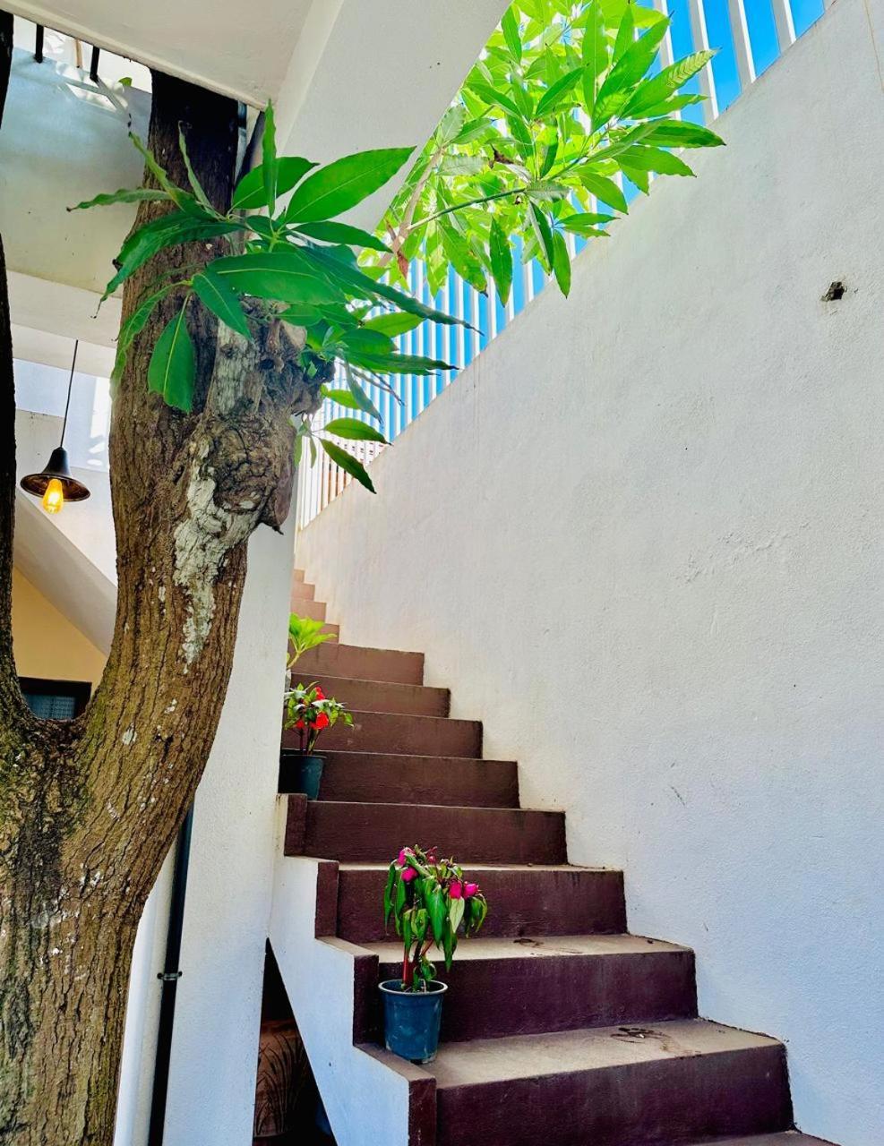 Sea Breeze Guest House Negombo Exterior foto